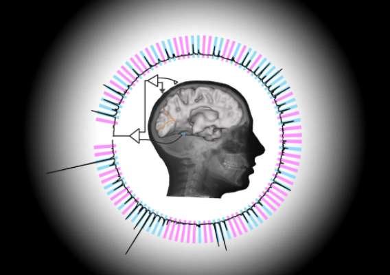 خواندن ذهن انسان با آنالیز سیگنال‌های مغزی ممکن شد