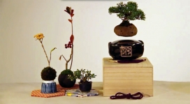 تماشا کنید: باغ معلق گیاهان کوچک و مینیاتوری در ژاپن به واقعیت پیوست