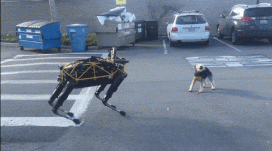 تماشا کنید: در جنگ انسان و ربات، سگ‌ها هم کنار انسان‌ها می‌ایستند!