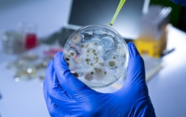 دانشمندی که باکتری 3.5 میلیون ساله را به بدن خود تزریق کرد